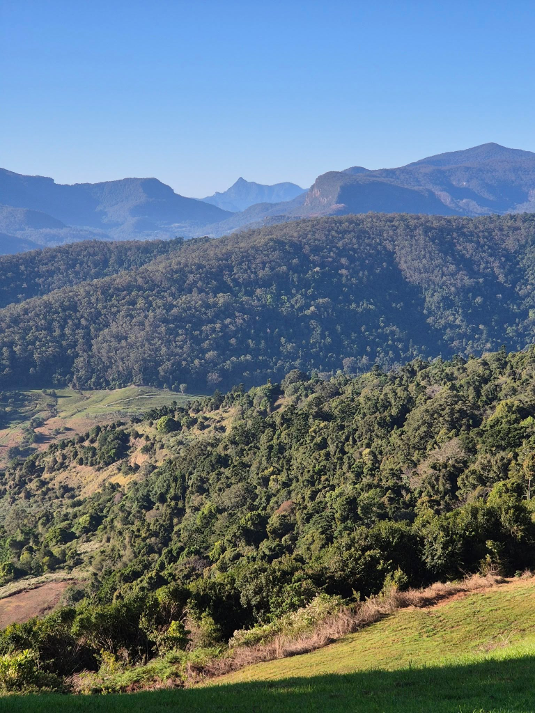 Gold Coast transfers. Hinterland transfers. Hikers transfers